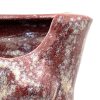 Crimson Mother view 5